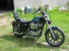 My 91 Sportster