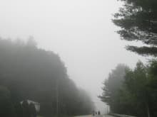 Into the Maine Mist