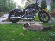 2009 Nightster