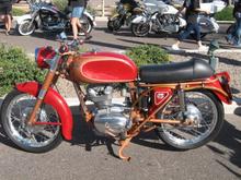 Duc