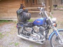 St Patties Day riding 014