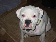 Chloe