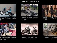 HARLEY TRUTH
