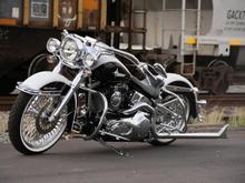 Harley Photoshoot 106