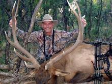 September--archery elk hunt in Durango Colorado--366"  Bull Elk