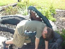 florida 02 042 i told him if he was not good i was going to feed him to the gators he was good i did it anyway.