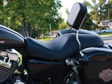 1315867312.77538300sportster