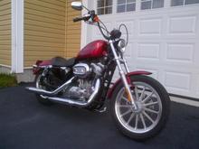The Sportster lowered and mini apes