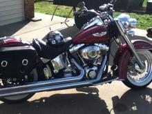New softail