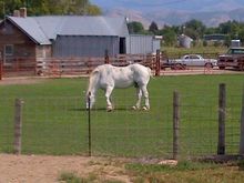 Next to a restaurant in Idaho we ate at.