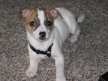 Daisy Mae