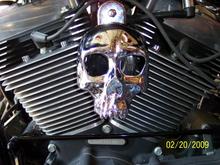 skull horn cover 2