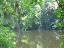 South Carolina Low Lands