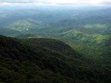 IMG 0023