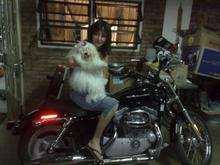 snowy&amp;XYL