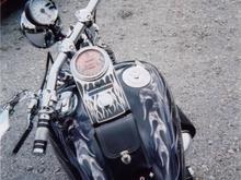 softail topview