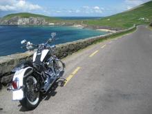 Fidelma's camera pictures 586