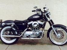 Retro Sporty