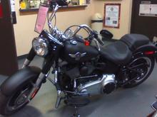 my beast