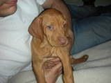 day i got her