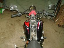 97 Springer Pics! 030