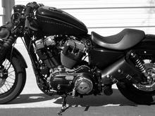'09 Harley Nightster (black and white version).