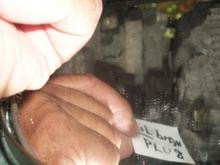 Harley Oil Drain Plug 005