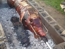 2014 friends and family pig roast 120lbs hog