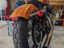 Nice rear view