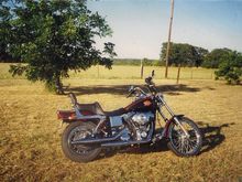 First Harley 2000 wide glide