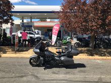 The menace of squids!