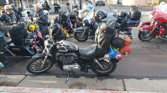 Harley large, detachable sissy bar, with the package shelf. Retractable straps, plus bungee cords. LA to D.C. and 10 days on the road. Folding chair, tent, air mattress, sleeping bag.