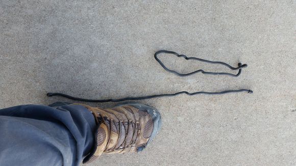 Size 13 shoe.. Just to give a size reference