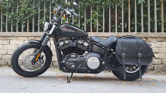 Here is my new 2018 street bob!