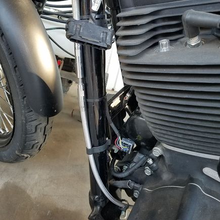 Front cylinder wide band and o2 plugs ran and zip tied on inside of left downtube