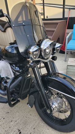 Never mind the bugs. If i wash it, it will just get dirty again.