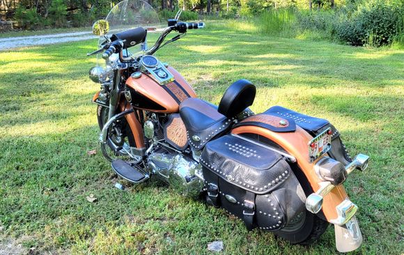 Tank bib, Heat shield, and Fender bib w/Brown Alligator embossed leather overlay.