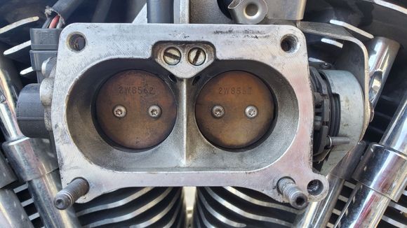 Magnetti Marelli throttle body showing bleed screws (top center)