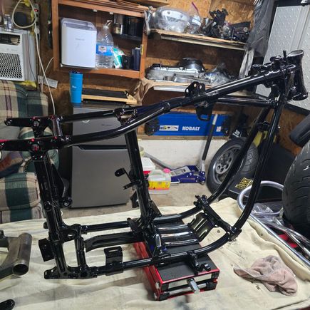 Fresh back from powder.