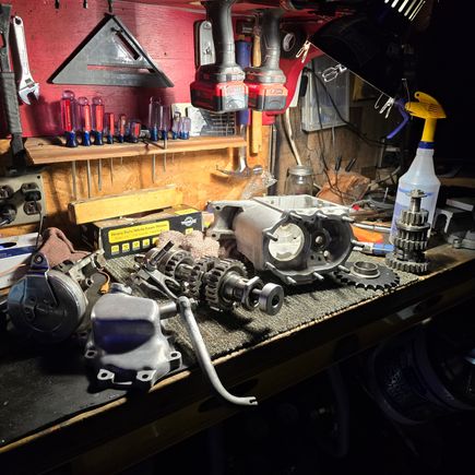 Transmission tear down.