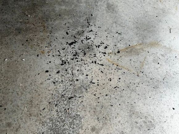 Dust on the floor