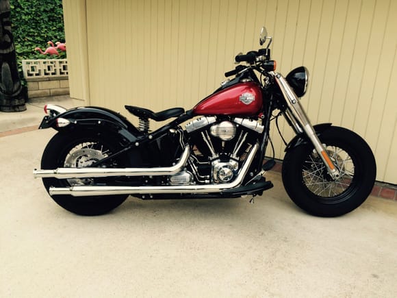 Chopped front and rear fenders, Street Bob tail light, stainless fork tins, spring seat..