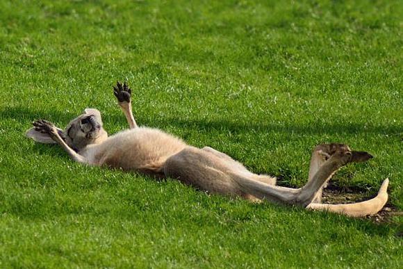 6 months!!!  Oh well, I’d better relax then. 