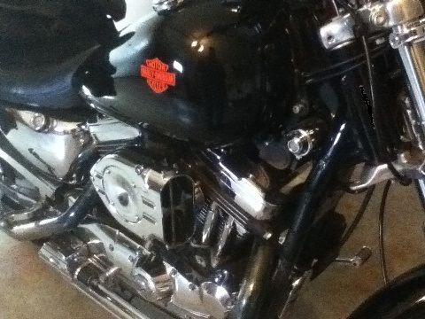 I like it simple.. i tagged mine like the 86 Sturgis model....