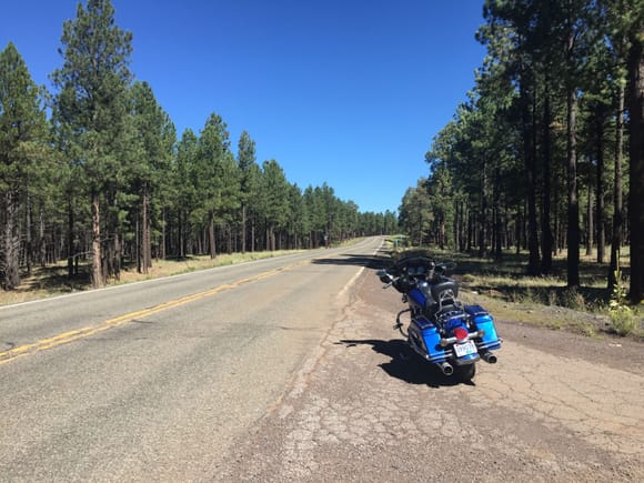 180 just North of Flagstaff