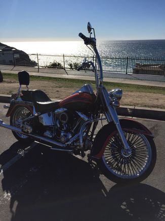 Carlini 16" Flying Apes