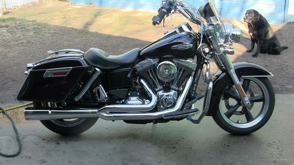 Mustang Solo seat, Mothers fender rail and saddle bag rails
