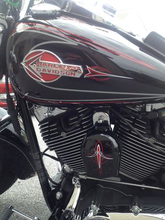 Pinstriping added to fuel tank and horn cover