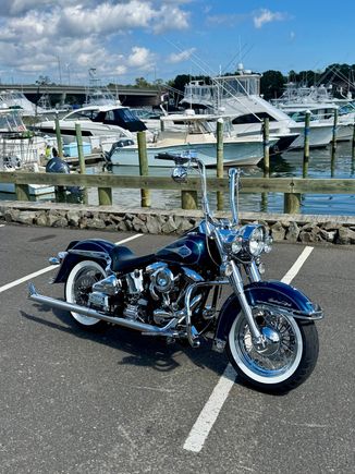 Down the block from my house at the Marina 