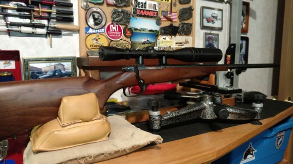 CZ 527 Varmint 204 Ruger